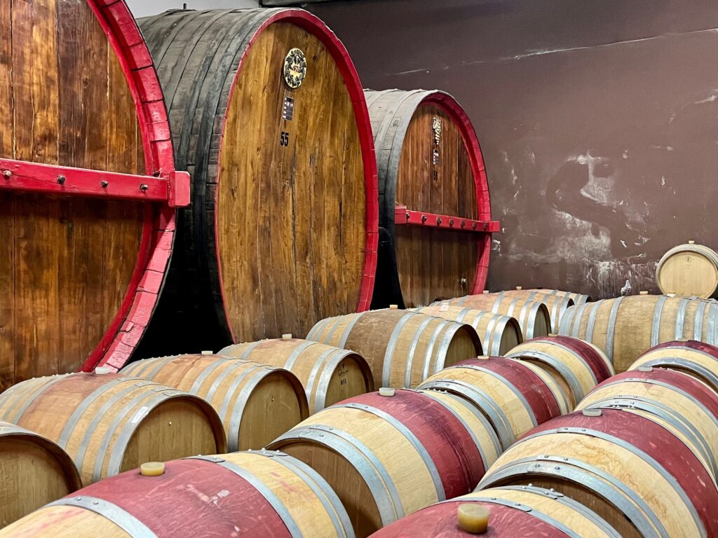 The History Behind the Legendary Barolo Wine