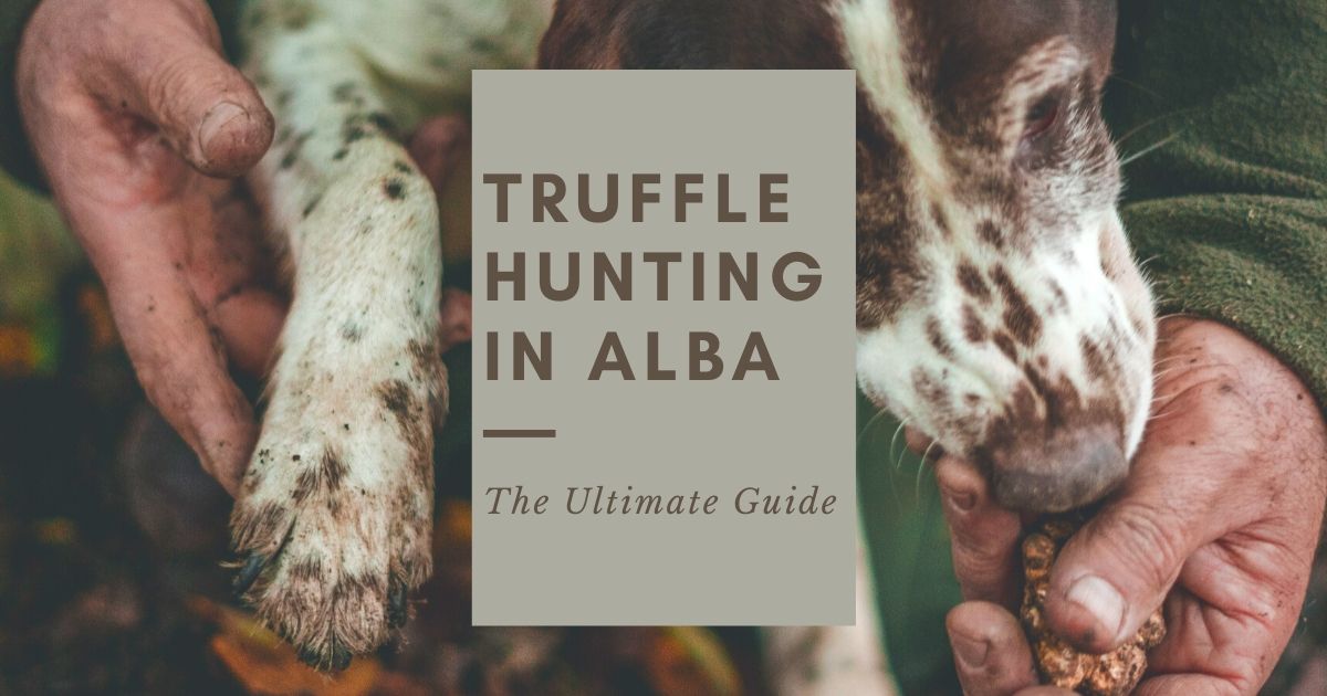 truffle hunting trip italy