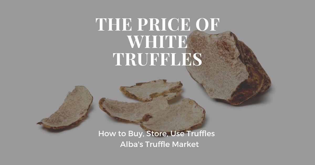 The Price of White Truffles of Alba, Care and Use