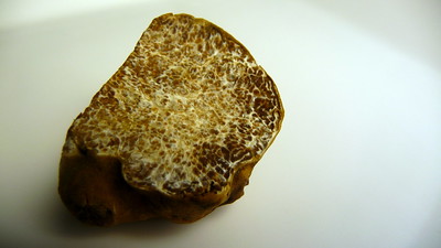 tartufo-bianco-alba-cut