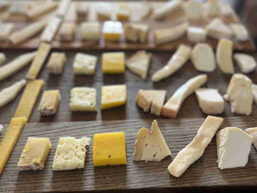 Guided cheese tasting in Piedmont