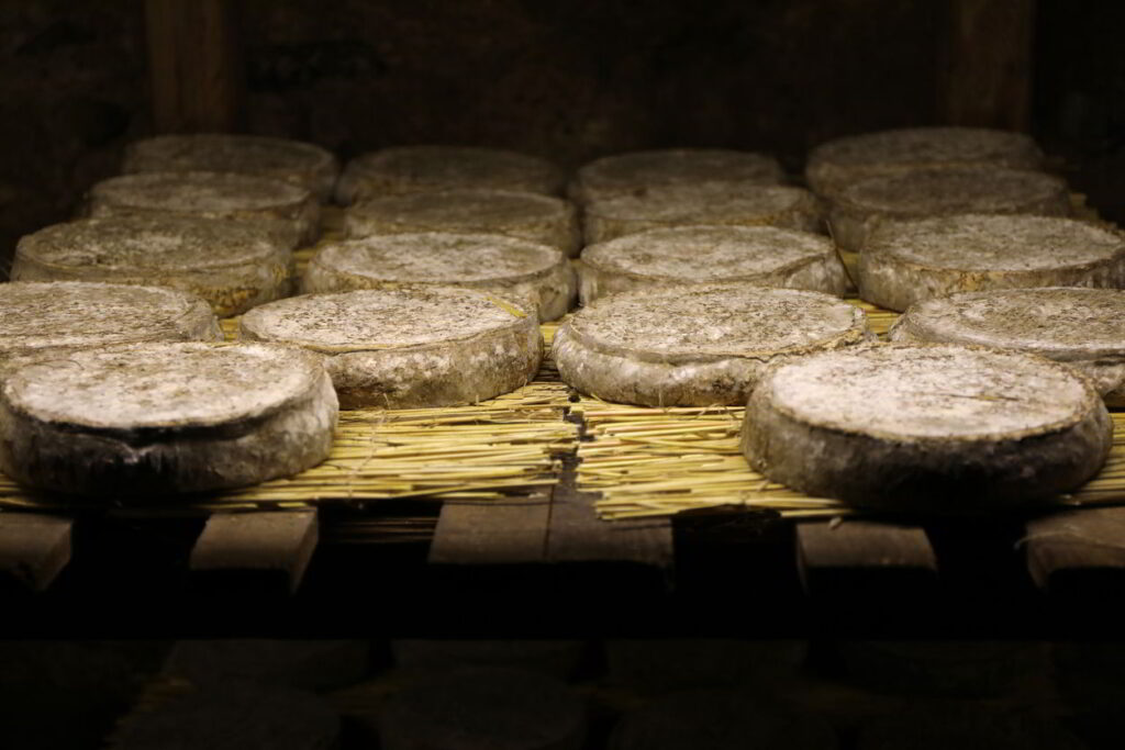 Discover Langhe: the cheese refiner experience