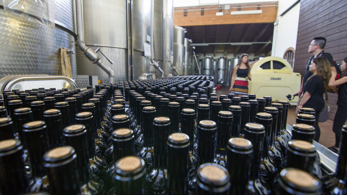 Wine cellar tour and bottling
