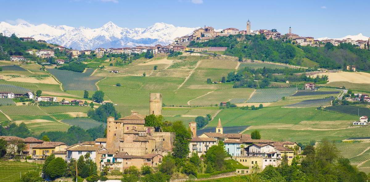 Barolo-Barbaresco Wine tour with a Winemaker