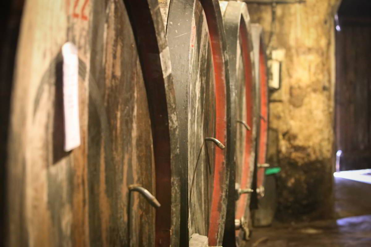 Wine cellar tour with a Winemaker