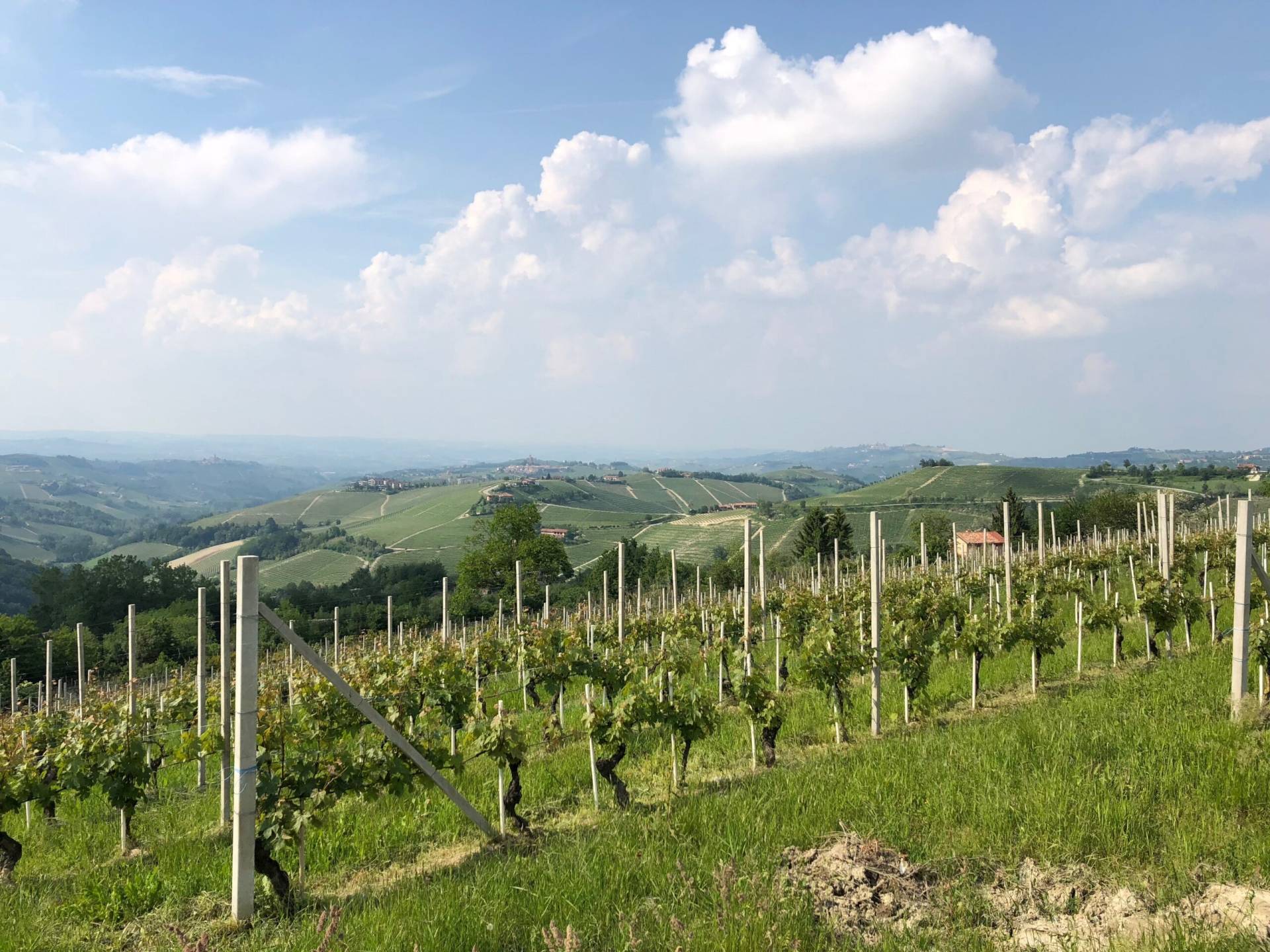 tour enogastronomico langhe