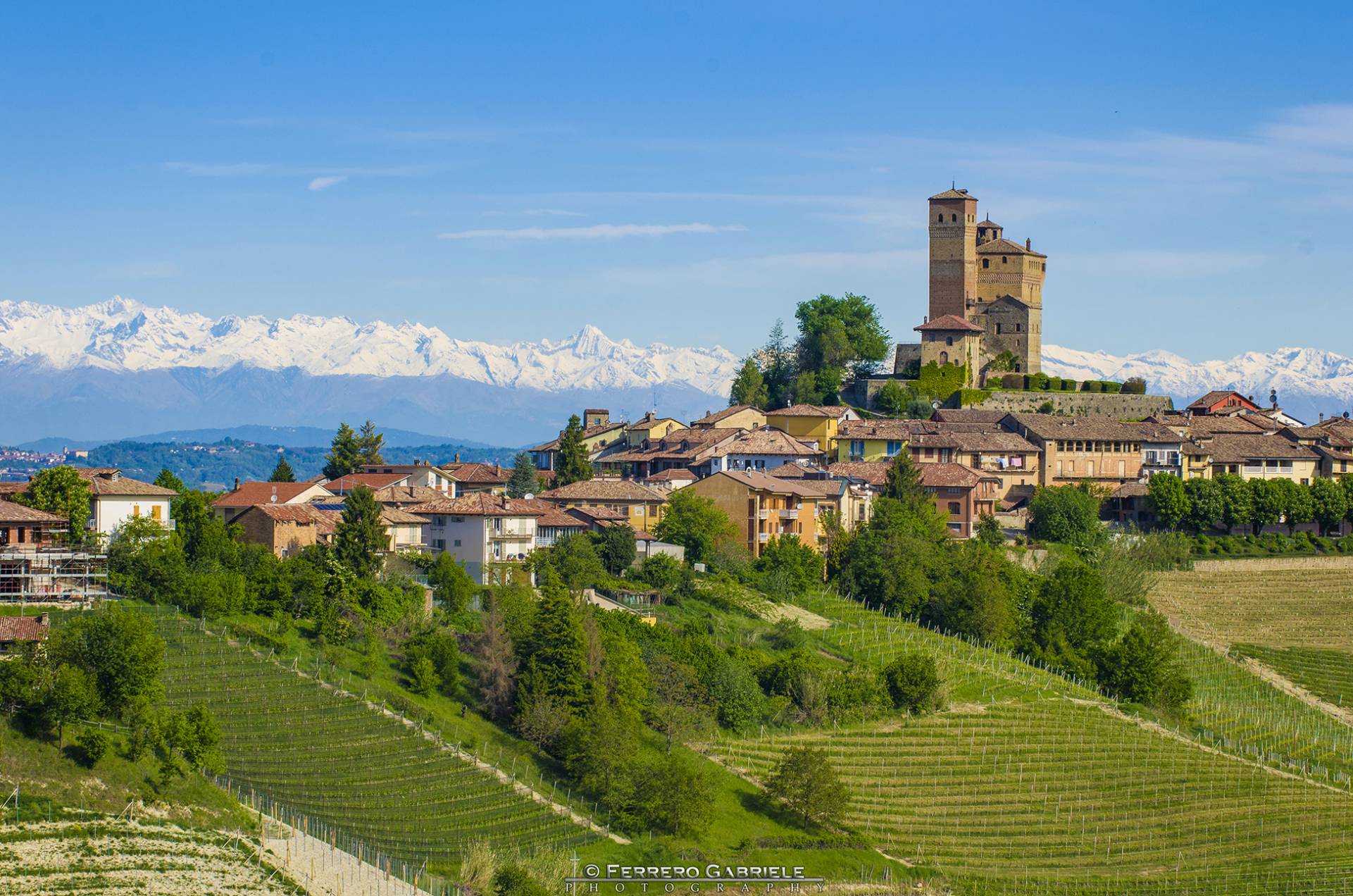 Barolo Wine Tour from Alba | Top-Rated Winery and Wine Guide